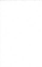 5361_OBJ-Thumbnail Image.jpg