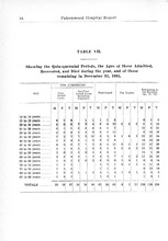 53817_OBJ-Thumbnail Image.jpg