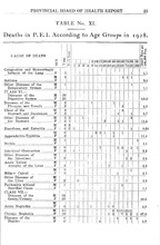 53823_OBJ-Thumbnail Image.jpg