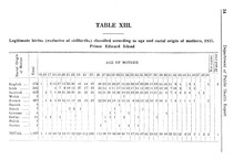 53950_OBJ-Thumbnail Image.jpg