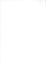 54045_OBJ-Thumbnail Image.jpg