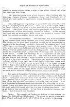 54410_OBJ-Thumbnail Image.jpg