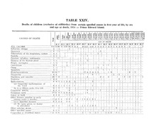 54475_OBJ-Thumbnail Image.jpg