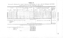 54613_OBJ-Thumbnail Image.jpg