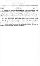 54686_OBJ-Thumbnail Image.jpg