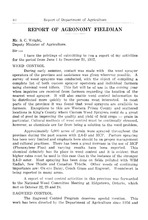 54982_OBJ-Thumbnail Image.jpg