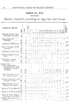 55045_OBJ-Thumbnail Image.jpg