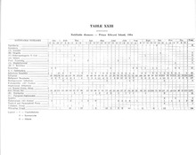 55068_OBJ-Thumbnail Image.jpg