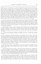 55243_OBJ-Thumbnail Image.jpg
