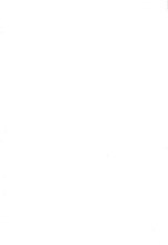 55248_OBJ-Thumbnail Image.jpg