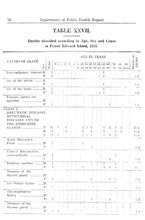 55259_OBJ-Thumbnail Image.jpg