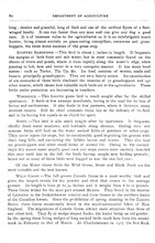 55329_OBJ-Thumbnail Image.jpg