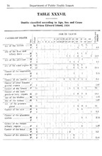 55408_OBJ-Thumbnail Image.jpg