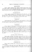 55427_OBJ-Thumbnail Image.jpg