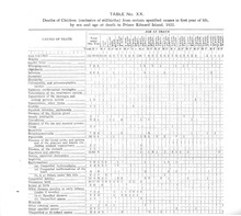 55533_OBJ-Thumbnail Image.jpg