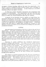 55599_OBJ-Thumbnail Image.jpg