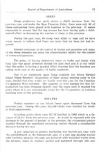 55634_OBJ-Thumbnail Image.jpg