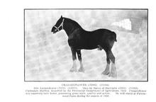 55823_OBJ-Thumbnail Image.jpg