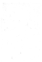 55890_OBJ-Thumbnail Image.jpg