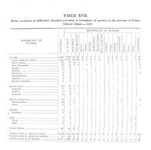 55904_OBJ-Thumbnail Image.jpg
