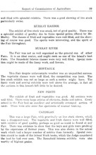 55924_OBJ-Thumbnail Image.jpg