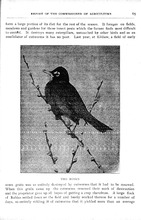56001_OBJ-Thumbnail Image.jpg