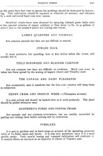 56020_OBJ-Thumbnail Image.jpg
