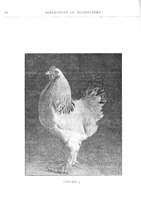 56168_OBJ-Thumbnail Image.jpg