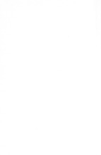 56311_OBJ-Thumbnail Image.jpg