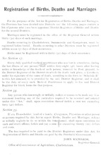 56356_OBJ-Thumbnail Image.jpg