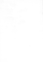56782_OBJ-Thumbnail Image.jpg