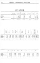 56989_OBJ-Thumbnail Image.jpg
