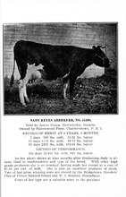 56_OBJ-Thumbnail Image.jpg