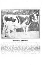 57181_OBJ-Thumbnail Image.jpg