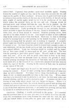 57195_OBJ-Thumbnail Image.jpg