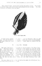 57361_OBJ-Thumbnail Image.jpg