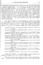 57416_OBJ-Thumbnail Image.jpg