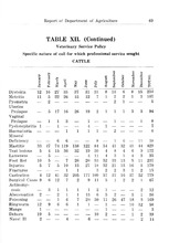 57633_OBJ-Thumbnail Image.jpg