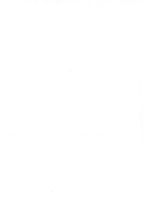 57794_OBJ-Thumbnail Image.jpg