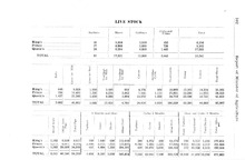58170_OBJ-Thumbnail Image.jpg