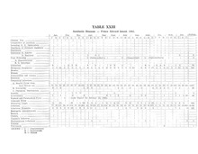 58533_OBJ-Thumbnail Image.jpg