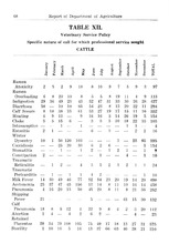 58834_OBJ-Thumbnail Image.jpg