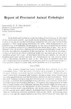 58963_OBJ-Thumbnail Image.jpg