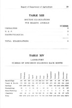 59127_OBJ-Thumbnail Image.jpg
