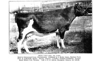 5946_OBJ-Thumbnail Image.jpg
