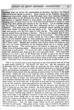 59561_OBJ-Thumbnail Image.jpg