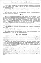 59604_OBJ-Thumbnail Image.jpg