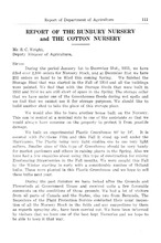5965_OBJ-Thumbnail Image.jpg