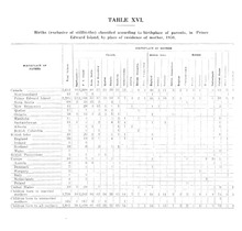 59822_OBJ-Thumbnail Image.jpg