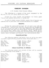 59941_OBJ-Thumbnail Image.jpg